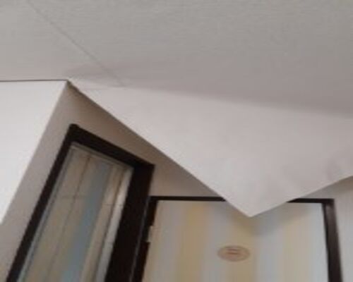 line_1559541649055-169x300