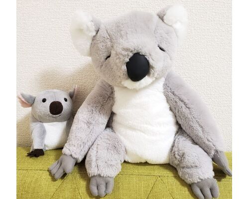 20200201_1909562-1024x947