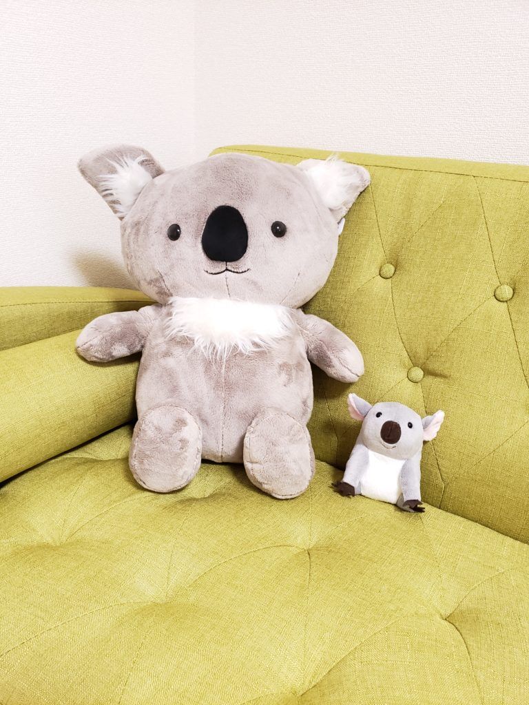 コアラちゃんが仲間入り X1f428 こあらさんのつぶやき 岡山のリラクゼーションサロン こあらさんの手もみサロンからの耳より情報